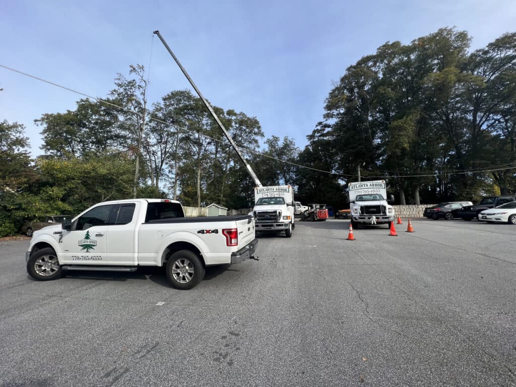 The Atlanta Arbor team carrying out tree reduction services