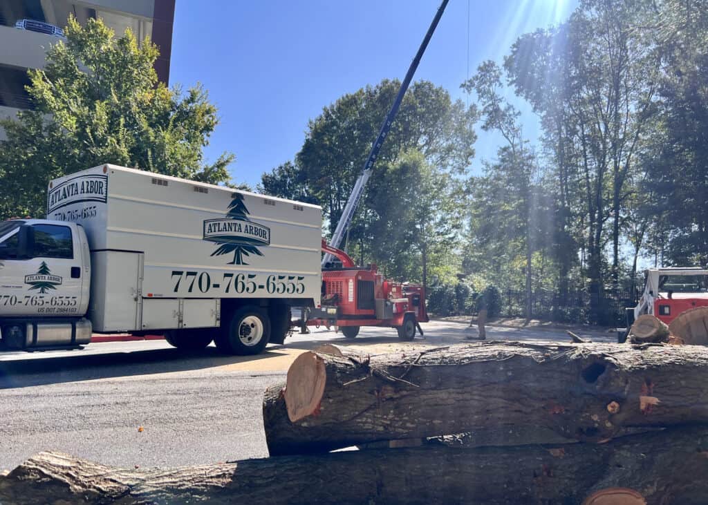 Atlanta Arbor expertly removing a large tree.