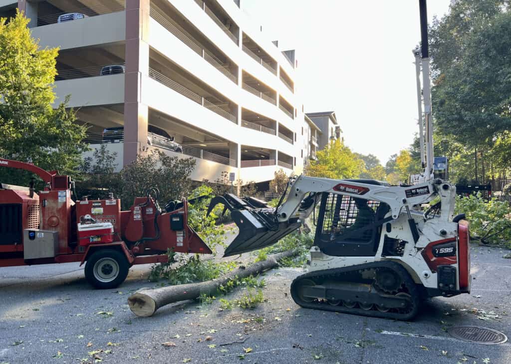 Atlanta Arbor crew cleaning up tree debris