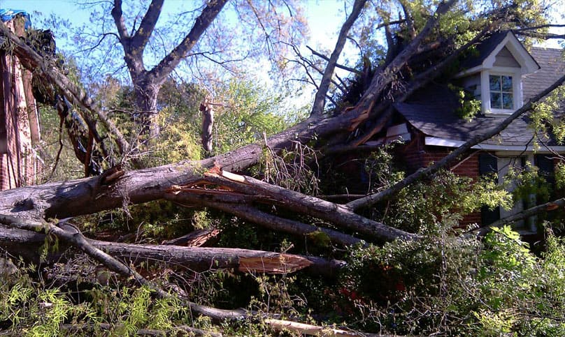 Storm Damage