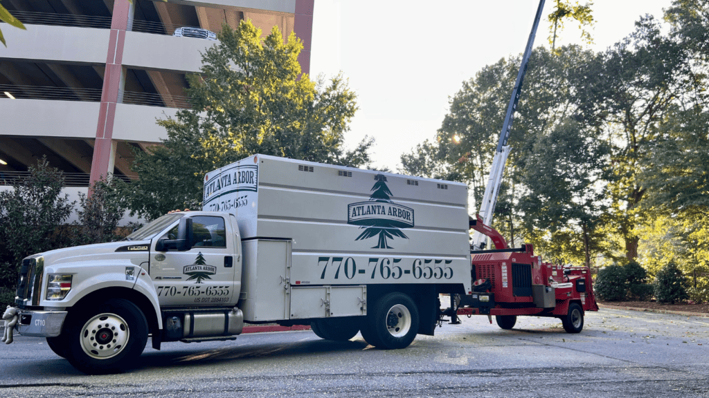 Tree Reduction in Atlanta Georgia
