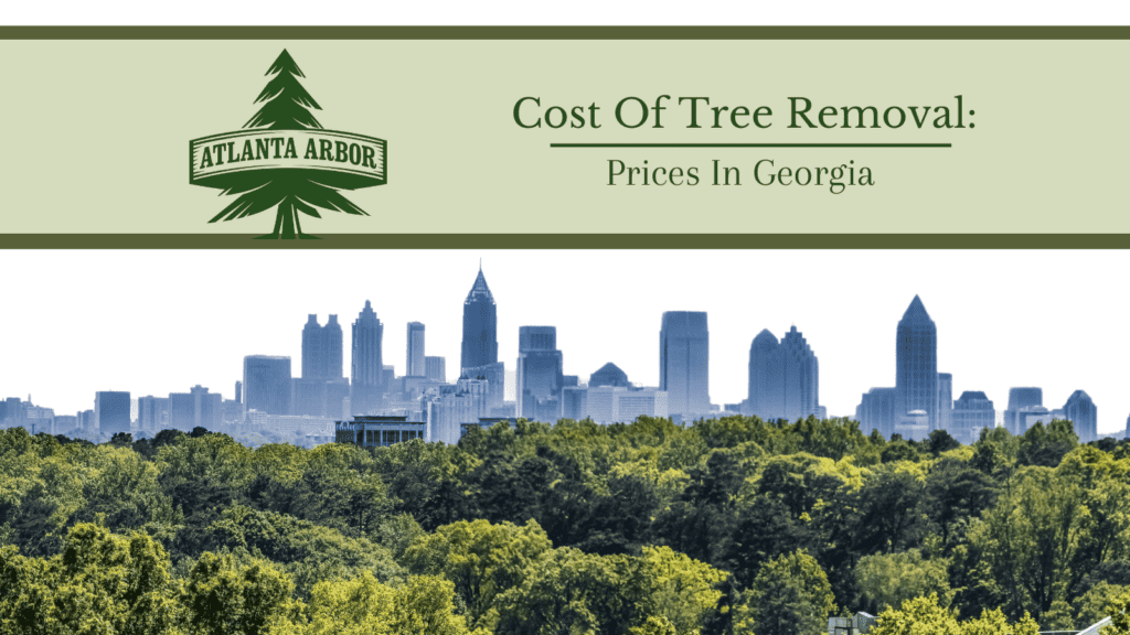 The City Of Atlanta From The Trees