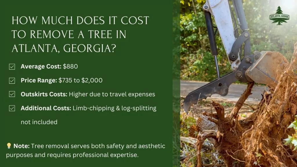 Stump Grinding thumbnail