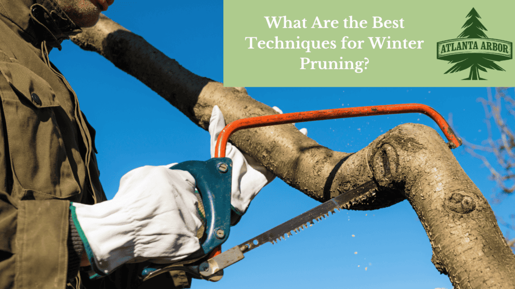 techniques for winter pruning