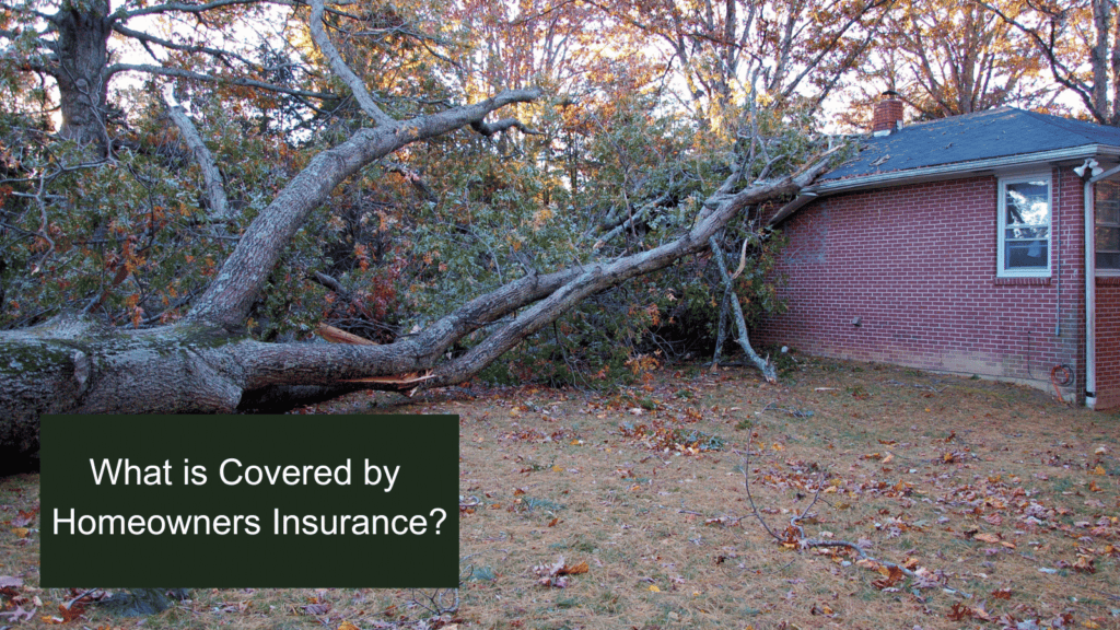 Does homeowners insurance cover fallen tree removal
