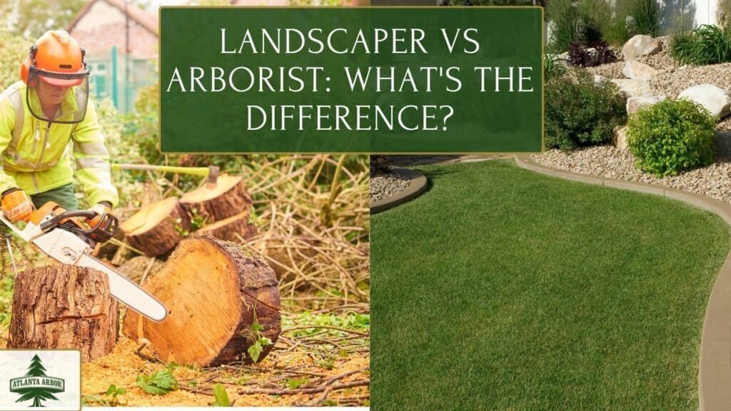 landscaper vs arborist