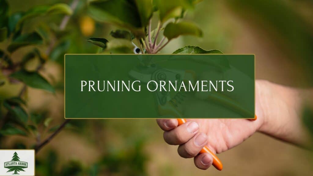 Pruning ornaments