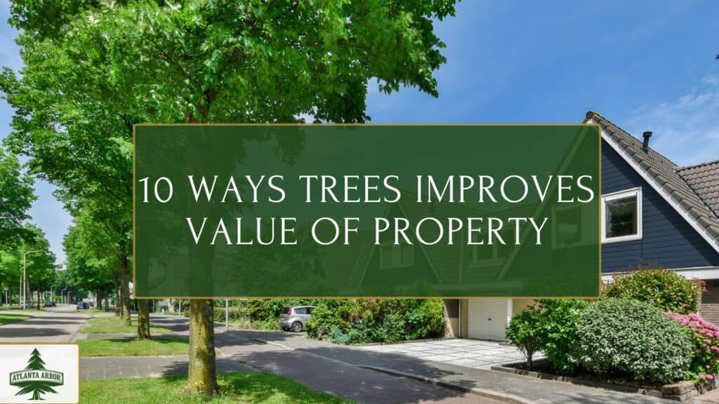 Ways improve property value