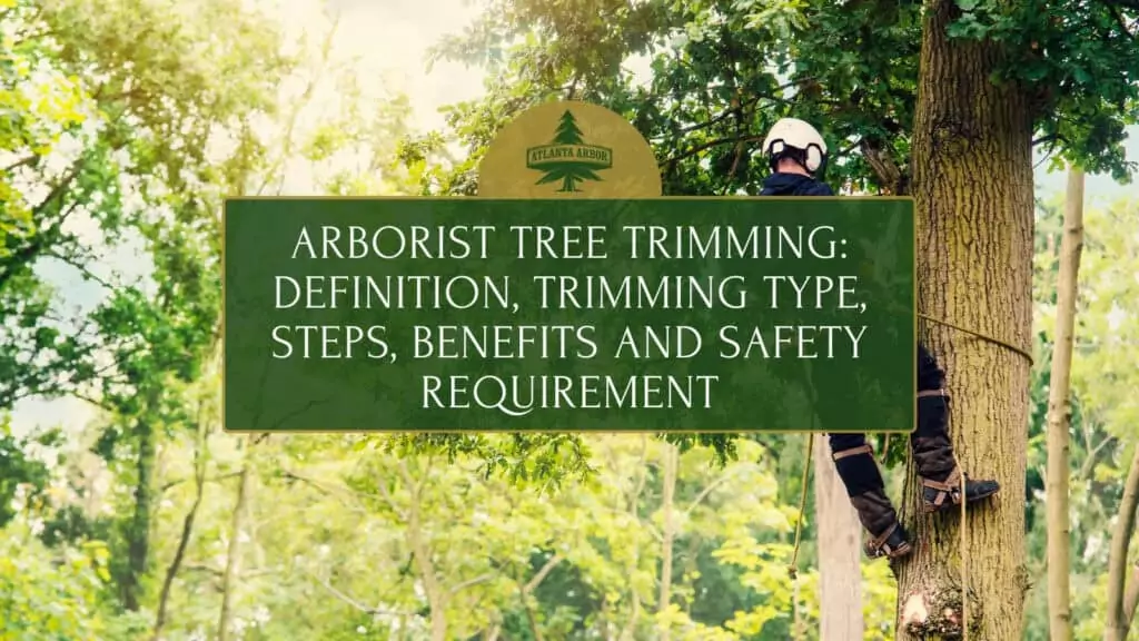 Arborist Tree Trimming
