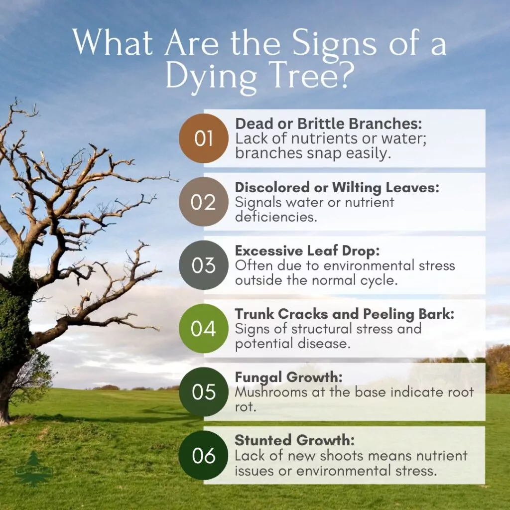 How To Save a Dying Tree